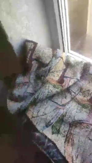 06-07-2026