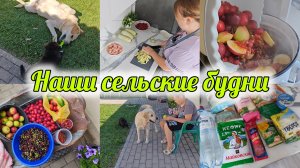 РАЗВЯЗКА ИСТОРИИ ПРО СОБАКУ🦮 ПОКУПКИ🛍️ ГОТОВЛЮ ОБЕД🧑🍳