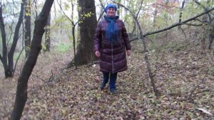 В ОСЕНЕМ ЛЕСУ  16 октября 2016 г (Косграмбо 2004) 79