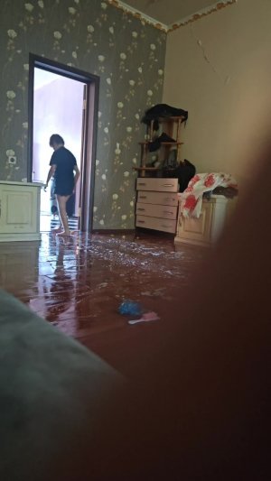 Тупо Аня