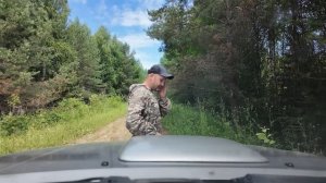 ПОЕХАЛИ ВСЕЙ СЕМЬЁЙ ЗА ДИКОЙ КЛУБНИКОЙ, НО ПИКАП ЗАСТРЯЛ В ЛЕСУ