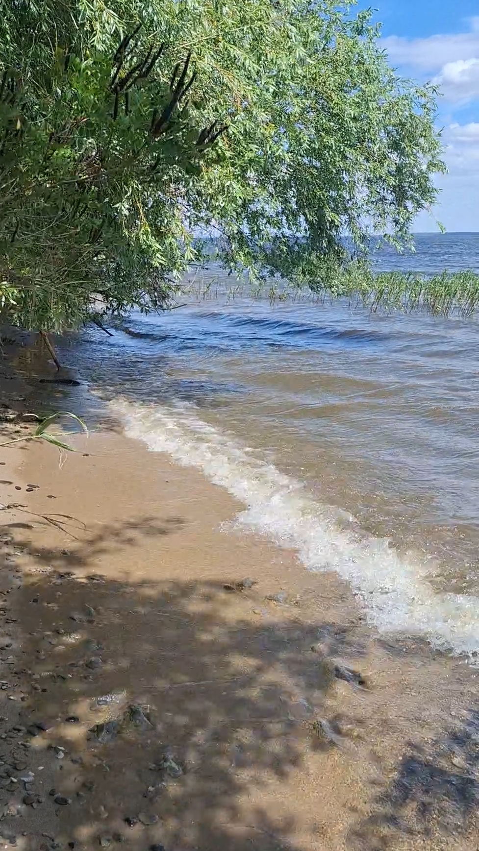 Песок, волны и утренний свет — идеальное начало дня🏞Релакс, звук волны и отдых🌊 Счастье #вода