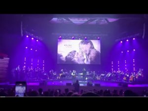 Kara sevda | Toygar Işıklı | Ne Prosto Orchestra