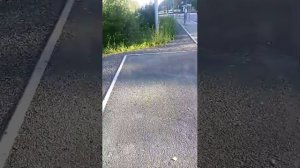 утренний стрим