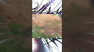 Принцесса-рыцарь - невеста варвара