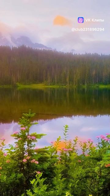Релаксация, медитация, улучшение сна, снятие стресса, фон для работы и учебы, йога. ॐ🙏🧘♀️ смотреть онлайн