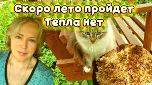 06-07-2026 Скоро лето пройдет,а тепла всё нет.
