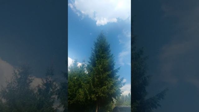 стрим у меня сегодня др