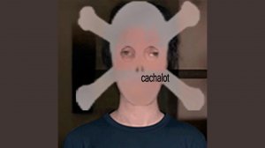 cachalot