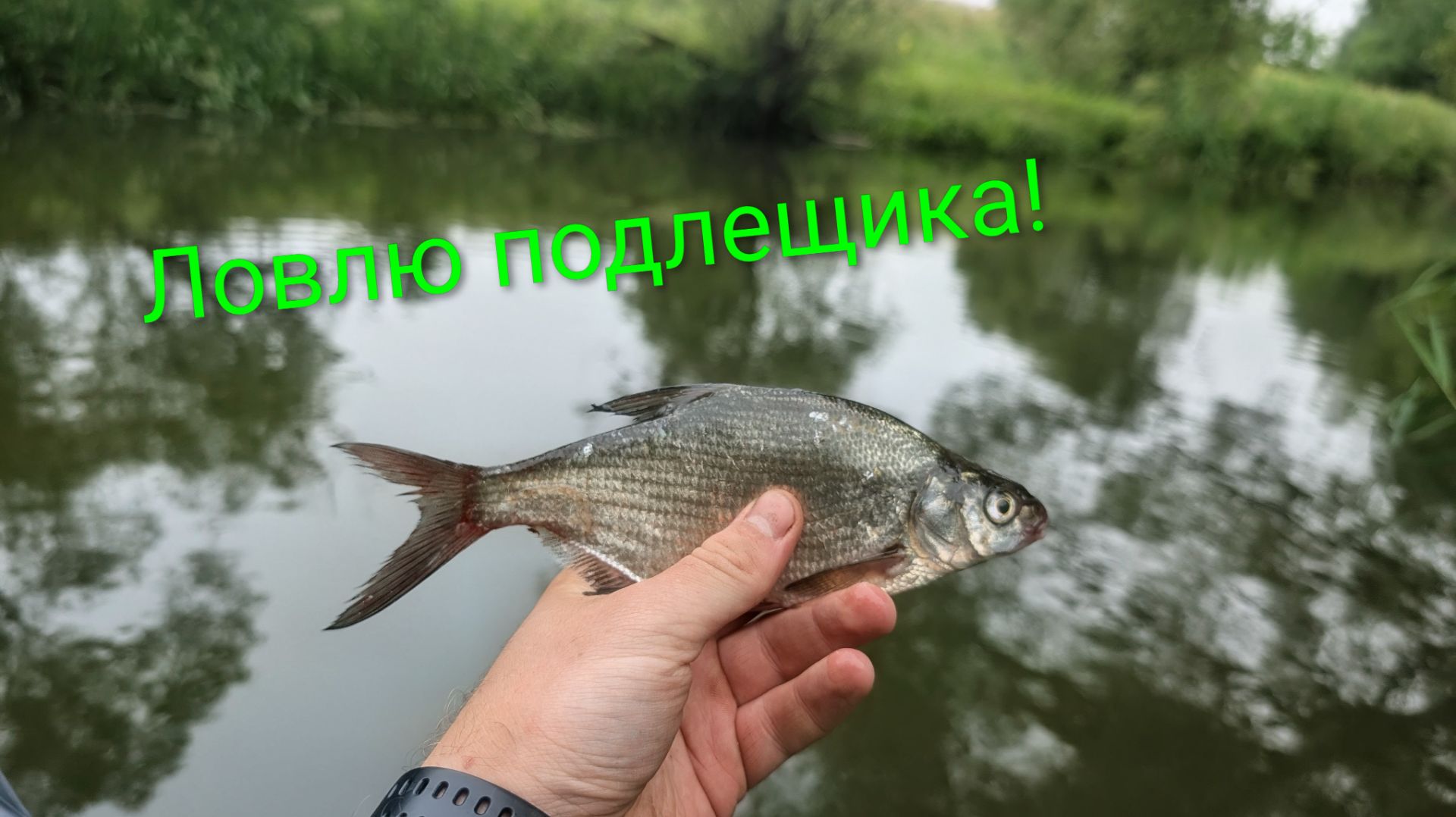 ПЕРВАЯ ЛЕТНЯЯ РЫБАЛКА В 2026 ГОДУ!*ловлю подлещика** смотреть онлайн