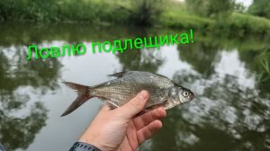 ПЕРВАЯ ЛЕТНЯЯ РЫБАЛКА В 2026 ГОДУ!*ловлю подлещика**