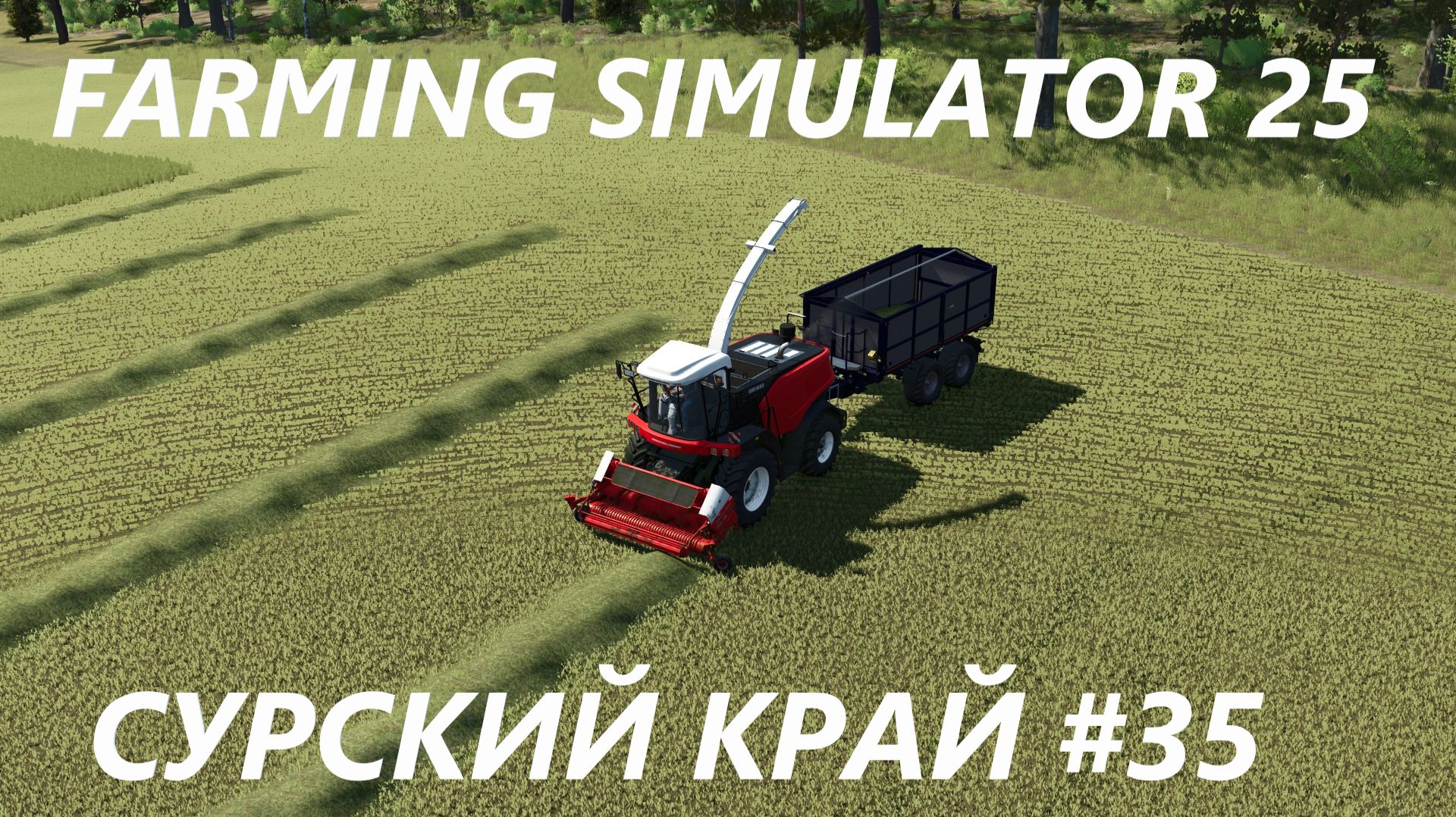 Farming Simulator 25. Сурский край #35.