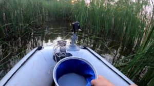 Рыбалка с лодки в камышах на поплавок.