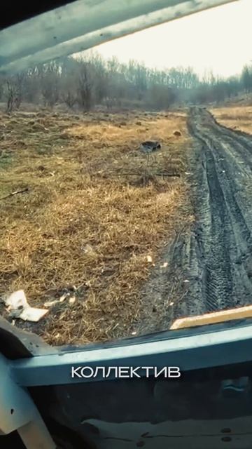 Черные волки смотреть онлайн