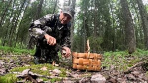 Грибник зашёл в ЕЛИ и НАРВАЛСЯ! Один в тайге Карелии — ОБАЛДЕЛ от находки! Грибы и Лес