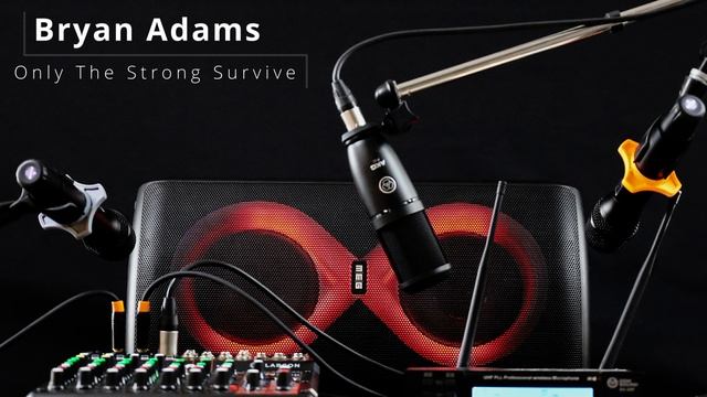 Bryan Adams - Only The Strong Survive (OST Трудный ребенок 2) смотреть онлайн