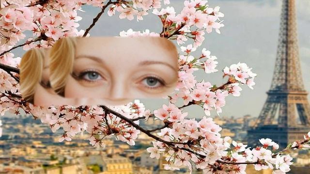 ProShow Slideshow Гости собираются смотреть онлайн