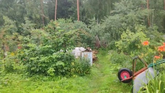 0706 смотреть онлайн
