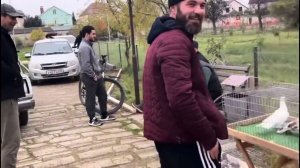 Ярмарка голубей в городе Дагестанские Огни. 09.11.2025. #голуби   #выставка