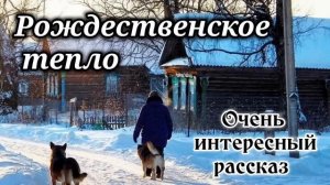 ❄️ОЧЕНЬ ИНТЕРЕСНЫЙ РАССКАЗ.«Рождественское тепло» «Рождественский рассказ» / (Христианский рассказ)
