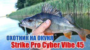 Эта ЦИКАДА просто «КОСИТ» ОКУНЕЙ!