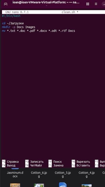 Bash-скрипт для автоматической сортировки #bash #linux #скрипт #автоматизация #начинающим