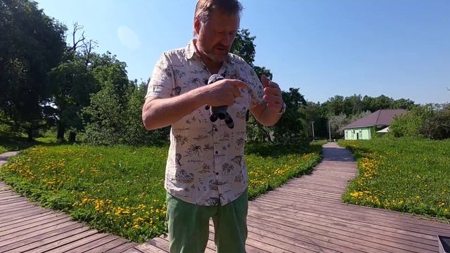 Сериал ″Золотая муха″