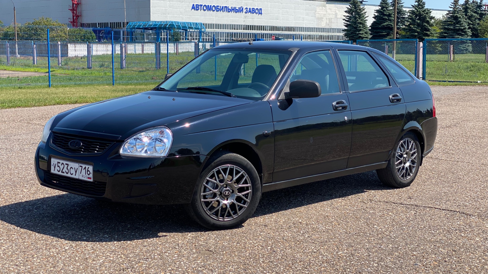 IMG_6250 смотреть онлайн