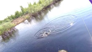 Рыбалка на пяти озерах 27.06.2026