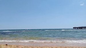 лето,море,Приморский