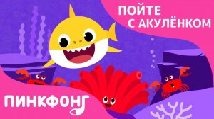 Цвета в Море | Пойте с Акулёнком | Пинкфонг Песни для Детей