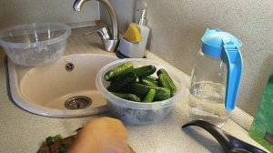 Кот, комнатные цветы, шкурю старый стол, готовлю малосольные огурцы и домашнюю лапшу