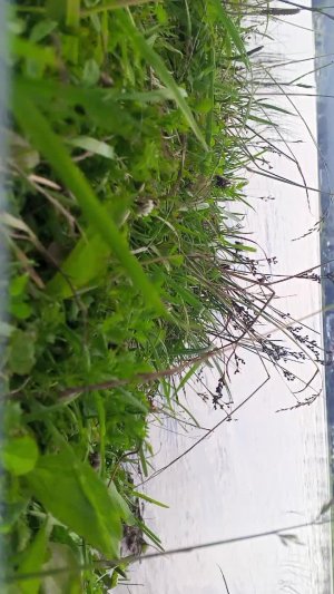 Рыбалочка