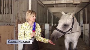 В Уфе прошел турнир по конному спорту Всероссийского масштаба
