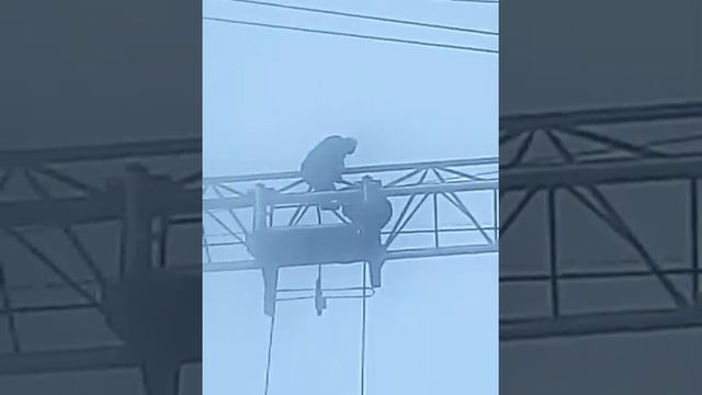Высота 200м
