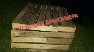 Вот так приехал в страну и губит дикий животный мир❗❗❗👆⚠️⚠️⚠️🦆