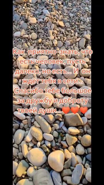 #shorts# Цени этот день он больше не вернётся #рекомендации#подпишись#психология#мудрость#защита