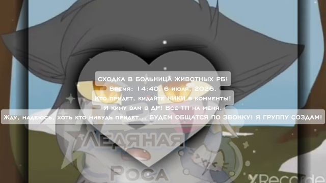 СХОДКААААА! смотреть онлайн