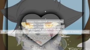 СХОДКААААА!
