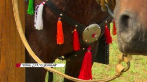 «От топота копыт..»: как мастера хранят традиции и кто забрал УАЗ «Патриот»