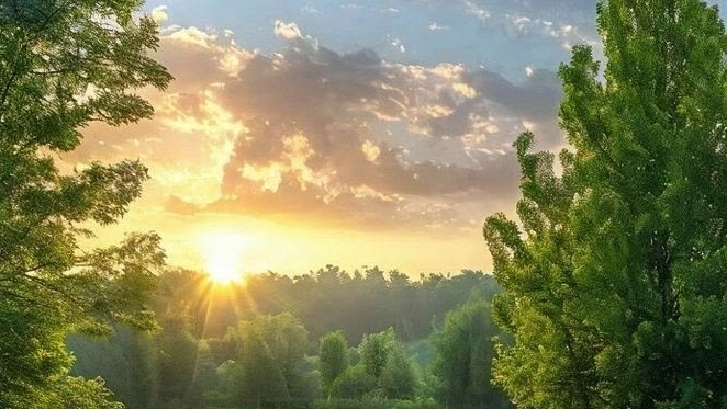 06-07-2026.Отвечу на ваши вопросы 🔮 ❗ смотреть онлайн