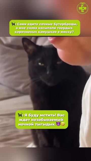 Хозяйка ест, коту не дает 1 вариант
