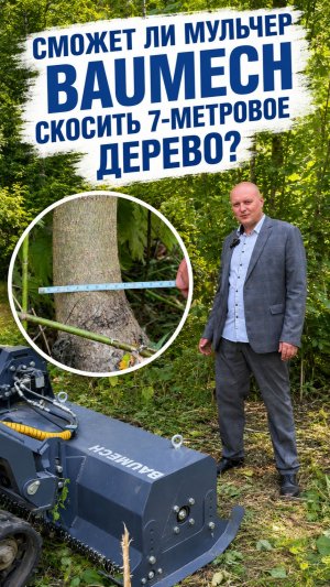 Сможет ли мульчер BAUMECH скосить 7-метровое дерево? #мульчер