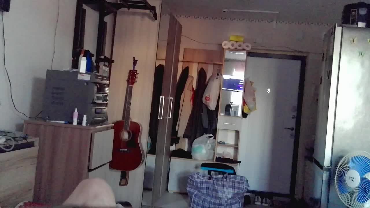 Найди кота👀 смотреть онлайн