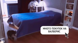 ПОТРАТИЛА СБЕРЕЖЕНИЯ НА ВАЛБЕРИС