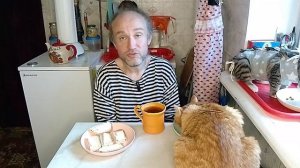 Завтрак с котями. Давно ли сбер стал агрессивным? Мукбанг. Обжор. Еда на камеру. Диета. Шизофрения.