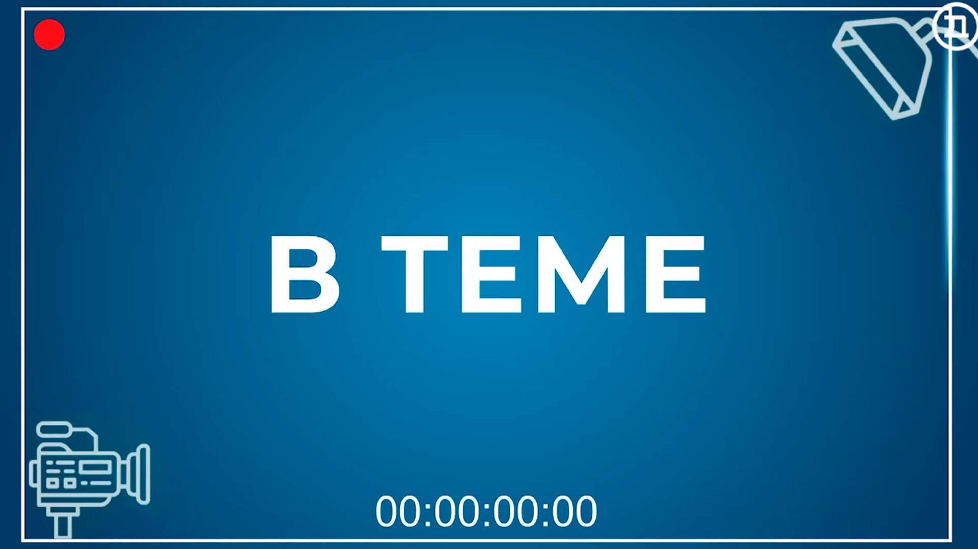 В ТЕМЕ