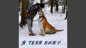 Я тебя вижу