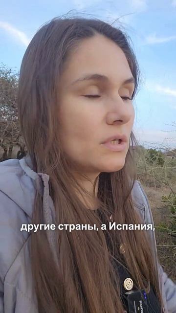 Разборы, обзоры