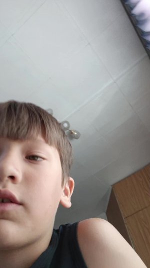 делаем из картона гоу про